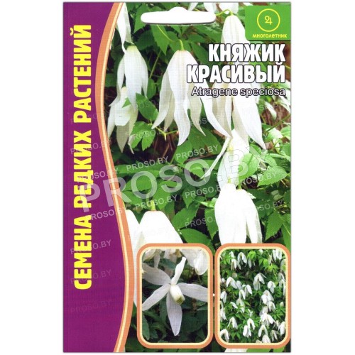 Княжик Красивый