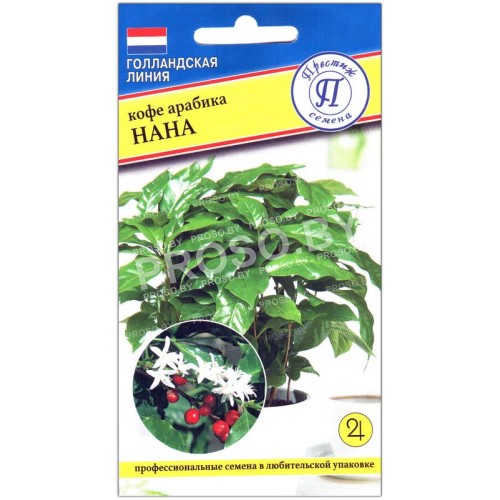 Кофе арабика Нана