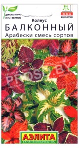 Колеус балконный Арабески, смесь