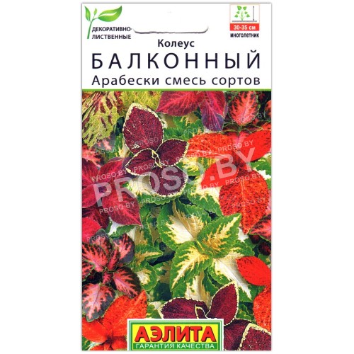 Колеус балконный Арабески, смесь
