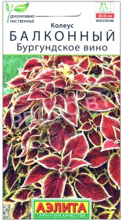 Колеус балконный Бургундское вино