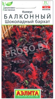 Колеус балконный Шоколадный бархат