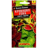 Колеус блюме Крокодил Гена, смесь