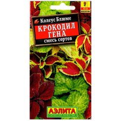 Колеус блюме Крокодил Гена, смесь