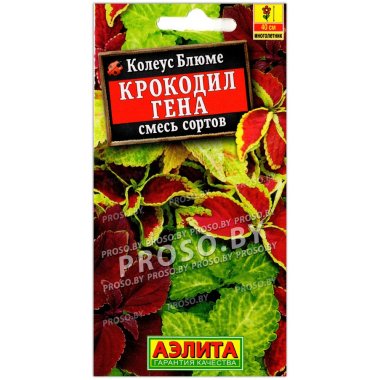 Колеус блюме Крокодил Гена, смесь