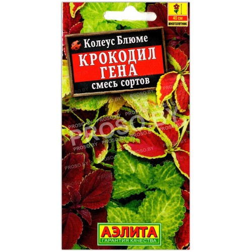 Колеус блюме Крокодил Гена, смесь