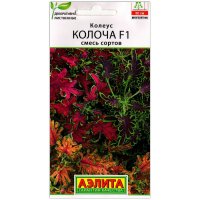 Колеус Колоча F1, смесь