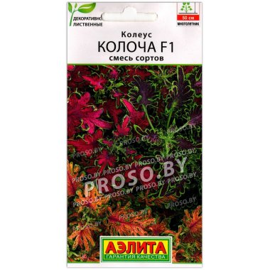 Колеус Колоча F1, смесь