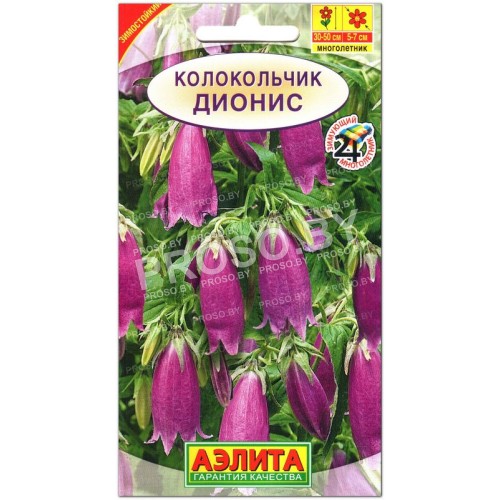 Колокольчик Дионис