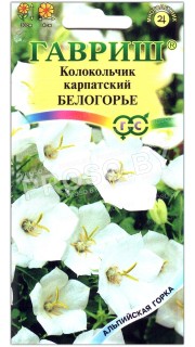 Колокольчик карпатский Белогорье