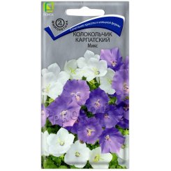 Колокольчик карпатский Микс