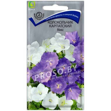 Колокольчик карпатский Микс