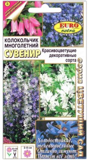 Колокольчик многолетний Сувенир, смесь