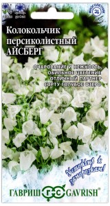 Колокольчик персиколистный Айсберг