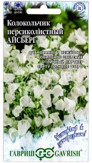 Колокольчик персиколистный Айсберг