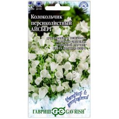 Колокольчик персиколистный Айсберг