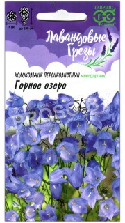Колокольчик персиколистный Горное озеро