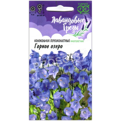 Колокольчик персиколистный Горное озеро