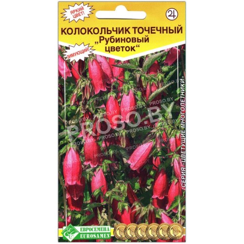 Колокольчик точечный Рубиновый цветок