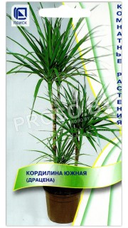 Кордилина Южная