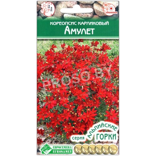 Кореопсис карликовый Амулет