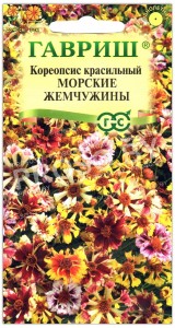 Кореопсис красильный Морские жемчужины