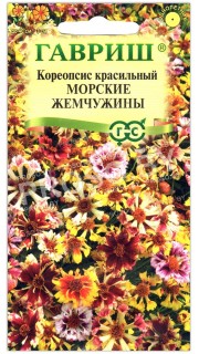 Кореопсис красильный Морские жемчужины