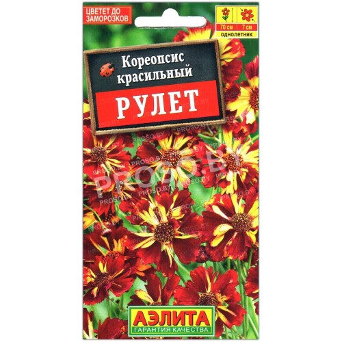 Кореопсис красильный Рулет