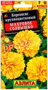 Кореопсис крупноцветковый Махровое солнышко