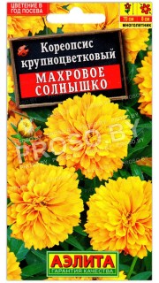 Кореопсис крупноцветковый Махровое солнышко
