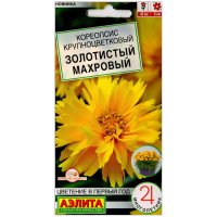 Кореопсис крупноцветковый Золотистый махровый