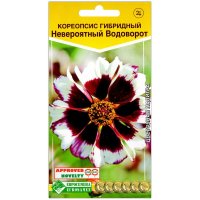 Кореопсис гибридный Невероятный водоворот