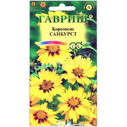 Кореопсис Санбурст