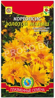 Кореопсис Золотой малыш