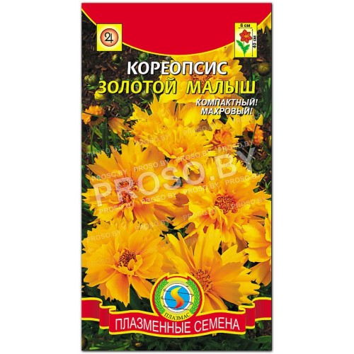 Кореопсис Золотой малыш