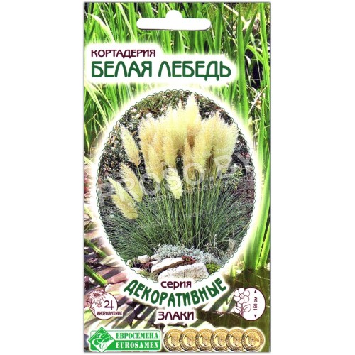 Кортадерия Белая лебедь