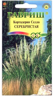 Кортадерия Селло серебристая