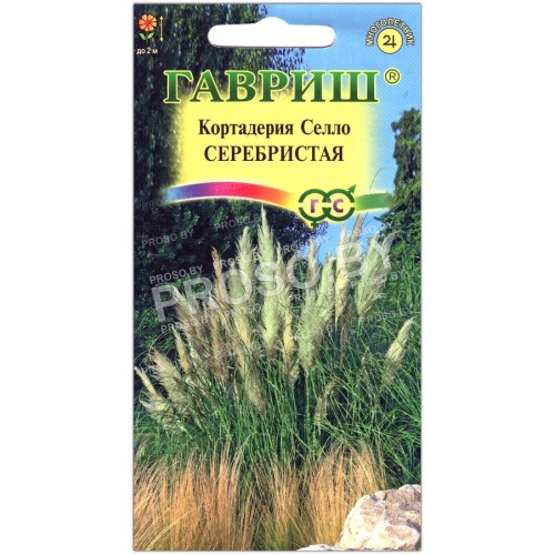 Кортадерия Селло серебристая