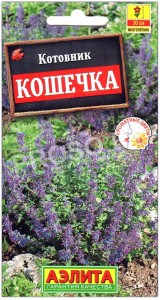 Котовник Кошечка