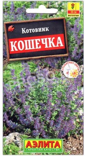 Котовник Кошечка