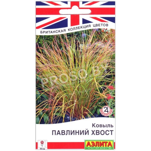 Ковыль Павлиний хвост