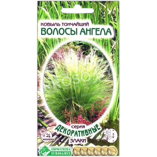 Ковыль тончайший Волосы ангела