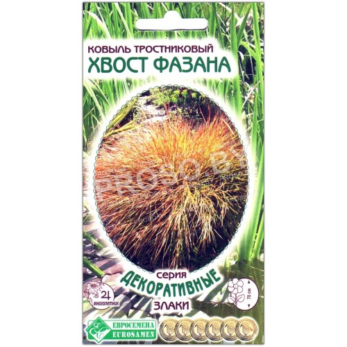 Ковыль тростниковый Хвост фазана