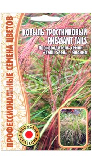 Ковыль тростниковый Pheasant tails
