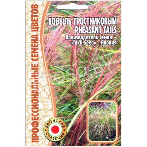 Ковыль тростниковый Pheasant tails