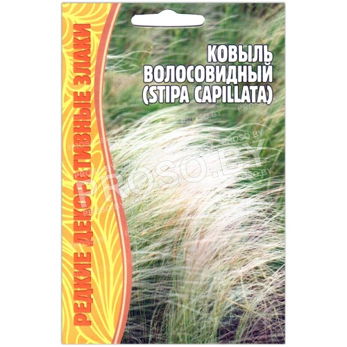Ковыль Волосовидный