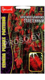 Красивотычинник Сплетенный