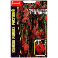 Красивотычинник Сплетенный