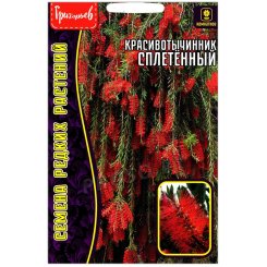 Красивотычинник Сплетенный