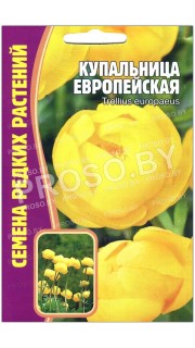 Купальница Европейская